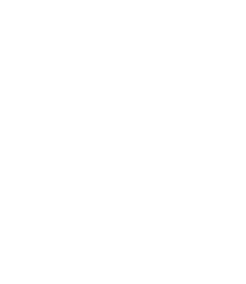 Anq logo 